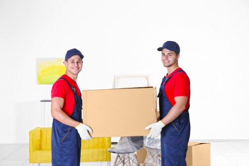 Man with van removal service for homes in Chelsfield