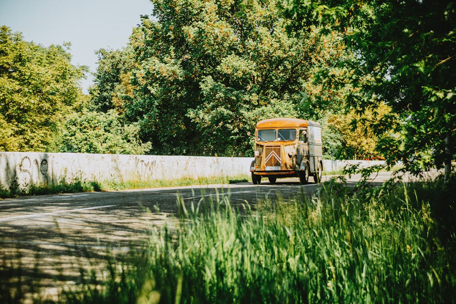 A vintage Citroën H van painted in yellow and black is driving along a narrow, winding country road surrounded by lush green trees and foliage. The van is positioned slightly to the right of the frame, heading towards the camera, with sunlight filtering through the leafy canopy above. The road has a concrete barrier on the left side, which is partially covered in graffiti, and the surface appears to be in good condition. In the foreground, tall grass and leaves are visible, adding depth to the scene. The environment suggests a rural setting suitable for house removals or furniture transport during a local move, aligning with the services offered by Man with Van Chelsfield in their home relocation and packing and moving operations.